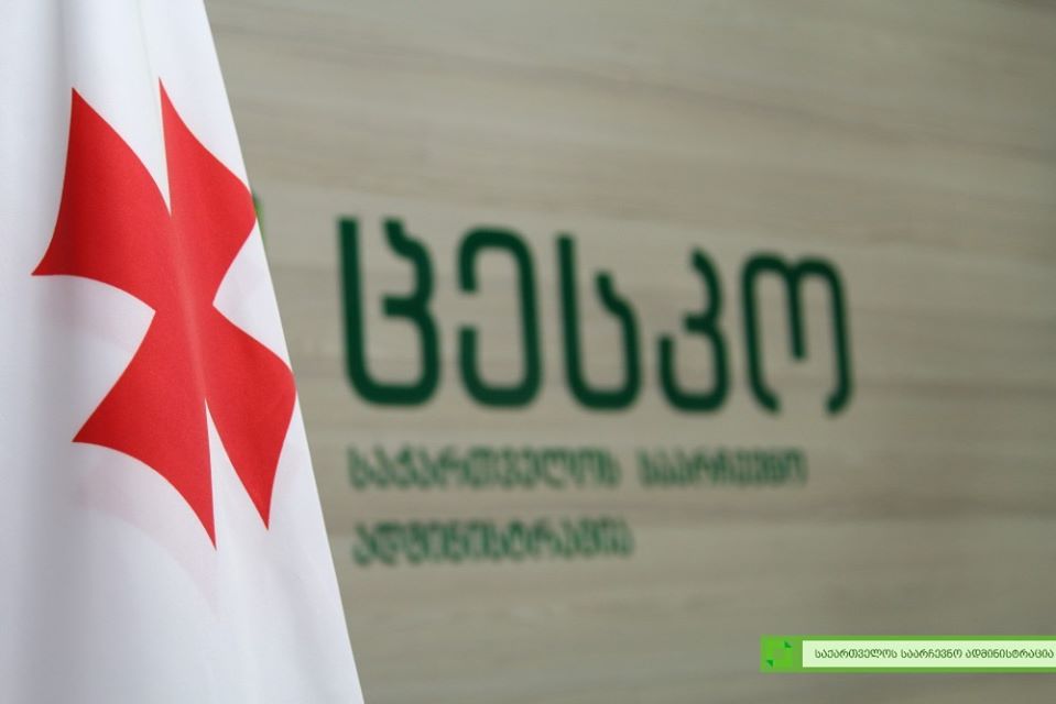 В Грузии выборы в органы местной власти пройдут параллельно с парламентскими выборами 31 октября