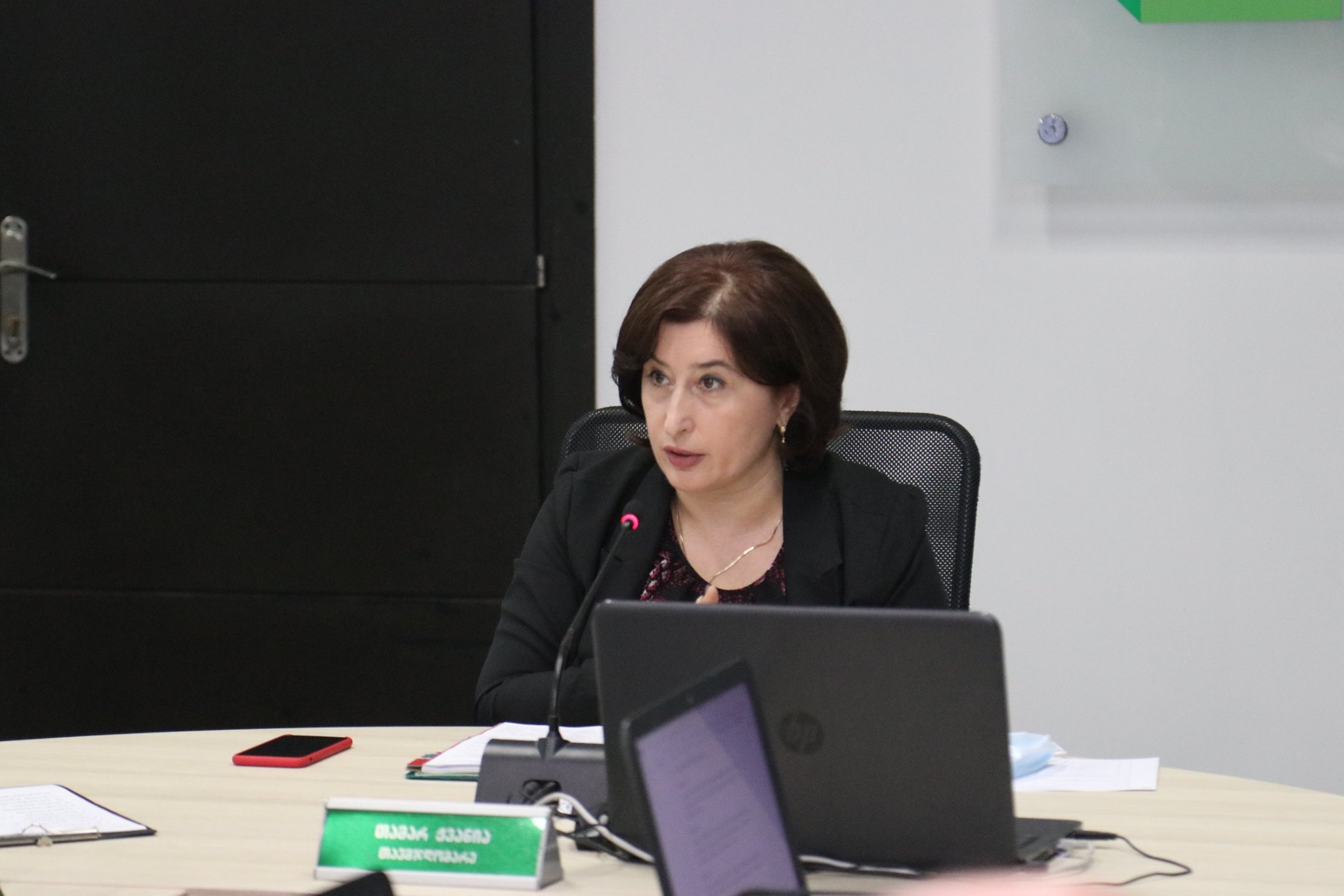 ЦИК Грузии разработала Кодекс поведения политических партий во время выборов