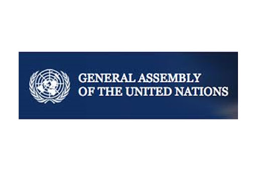 В ООН 13-й раз поддержали резолюцию по беженцам в Грузии