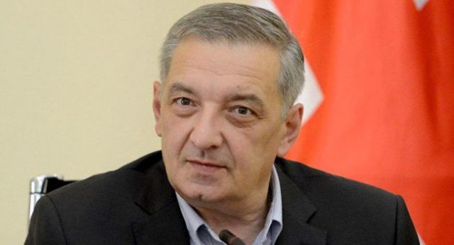 Вице-спикер парламента Грузии о передаче 30 миллионов евро гражданскому сектору