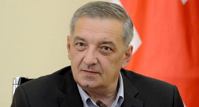 Вице-спикер парламента Грузии о передаче 30 миллионов евро гражданскому сектору