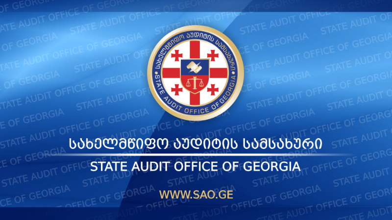 Служба государственного аудита: ведущие партии Грузии получили доход в 21,6 миллиона лари