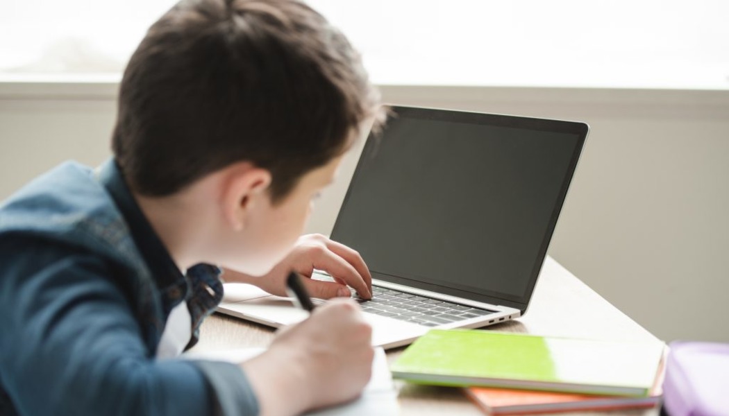 Дистанционное обучение в школах 11-ти городах Грузии продлено до конца года