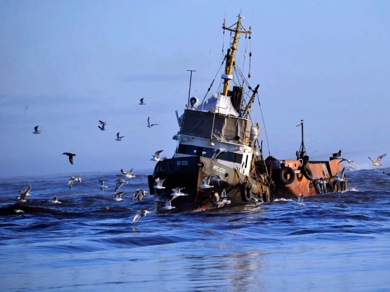 Рыболовный флот Грузии пополнится десятью новыми сейнерами