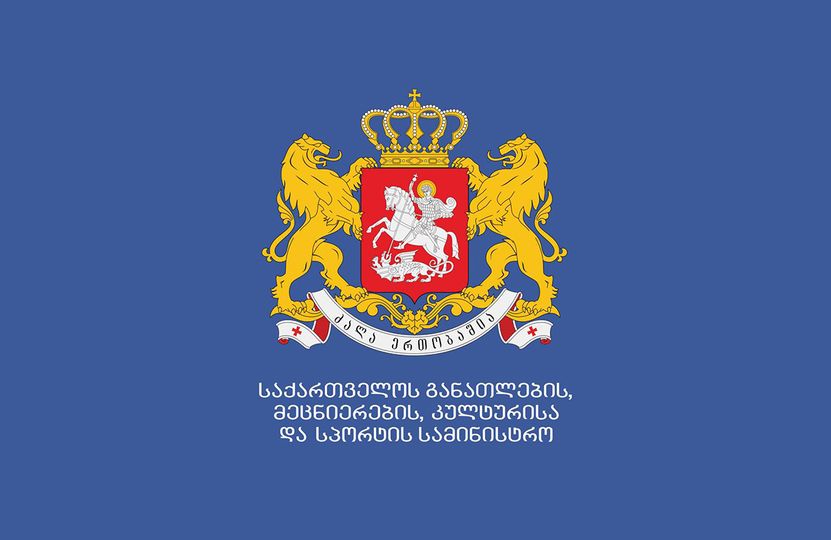 В школах Грузии дистанционно учатся 11 школ и 109 классов