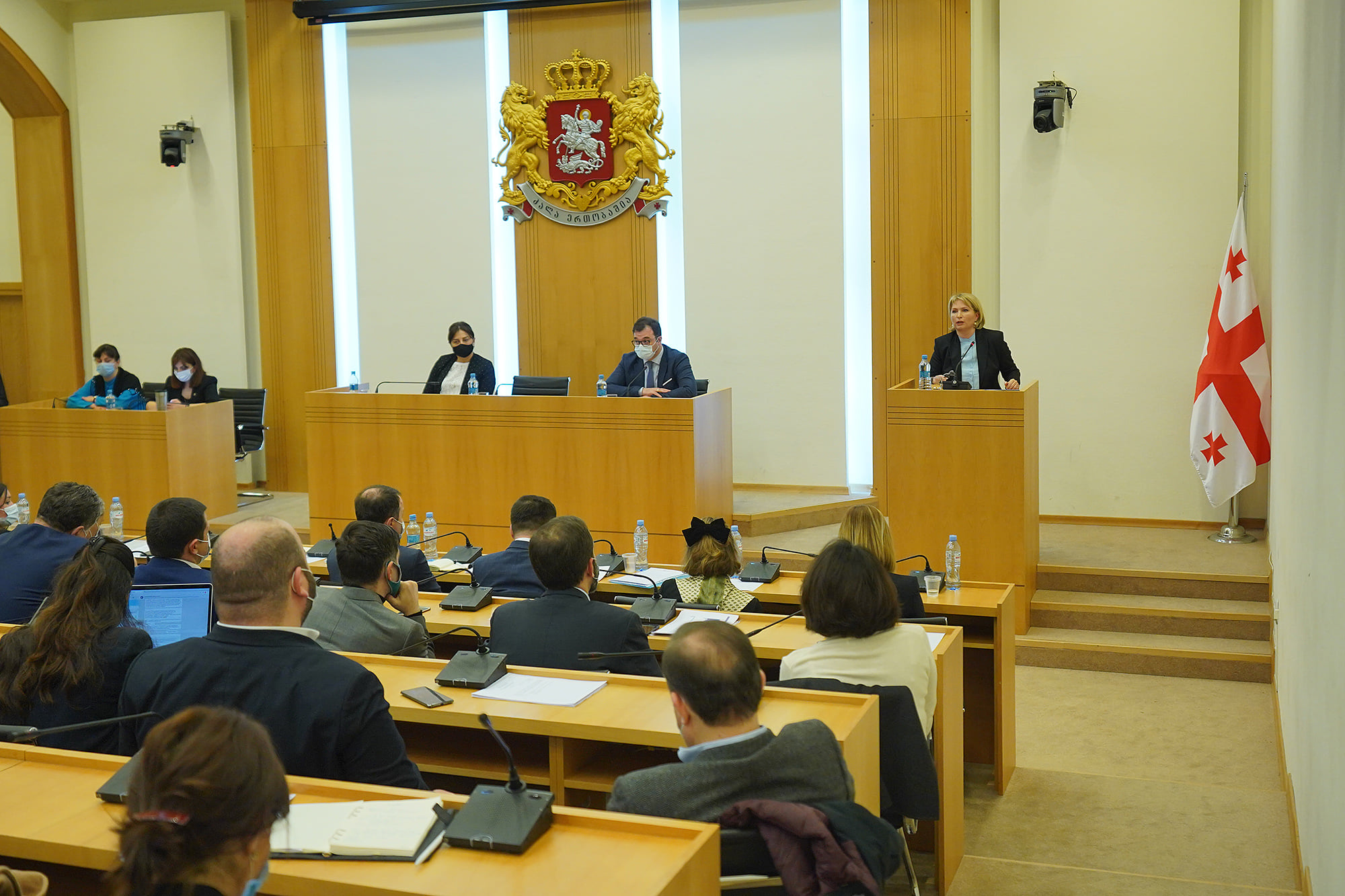 В паламенте Грузии обсудили проект Намахванской ГЭС