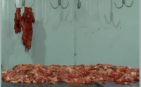 В Тбилиси изъято около 1 тонны мяса, непригодного для употребления в пищу