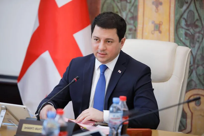 Парламент Грузии направил закон «Об общих судах» в Венецианскую комиссию