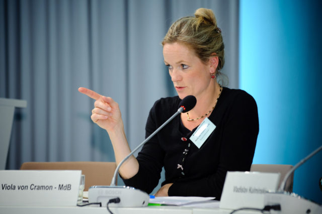 "Заявление Грузии о членстве в ЕС вряд ли воспримут всерьез", заявила Виола фон Крамон