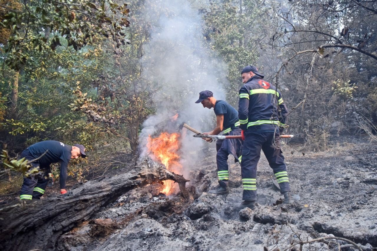 По последним данным в Боржоми ликвидировано 90% очагов возгорания