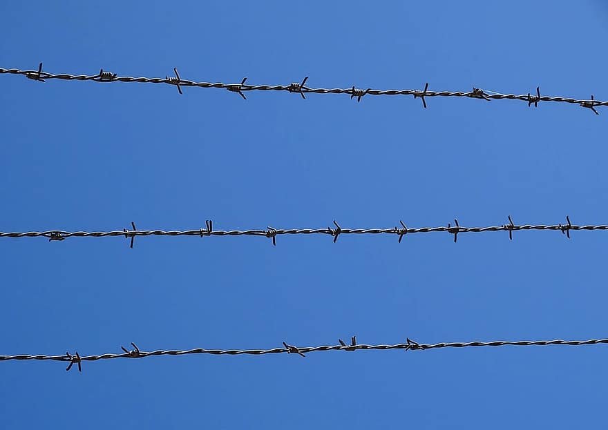 Заключенный отнял у конвоира пистолет и выстрелил себе в голову