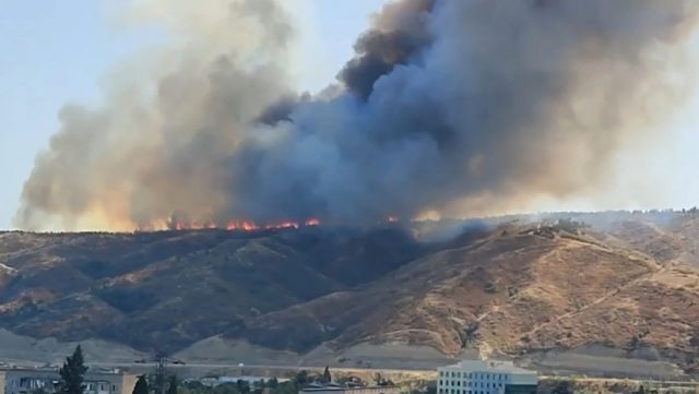 Горит лес на горе Шавнабада