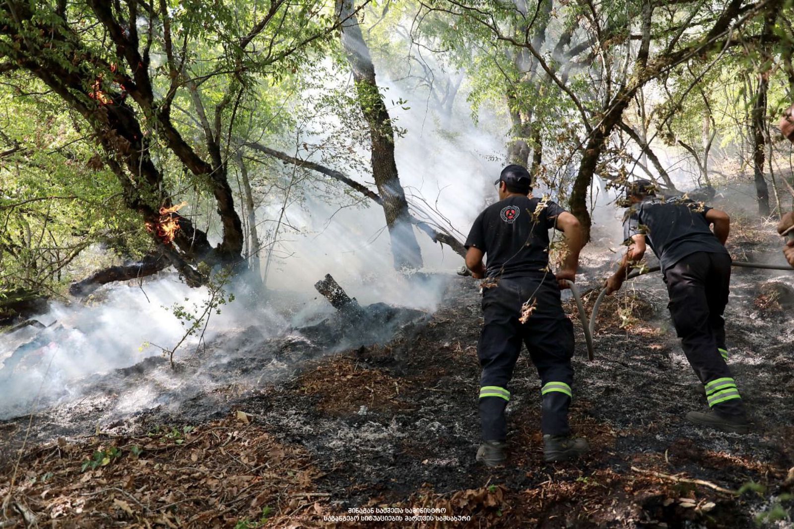В пригородах Тбилиси все очаги лесных пожаров локализованы