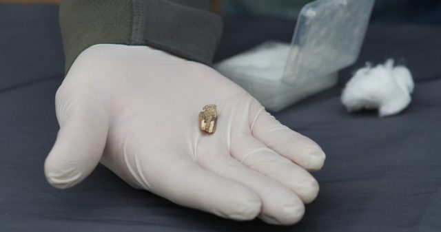 В Дманиси найден зуб древнейшего человека