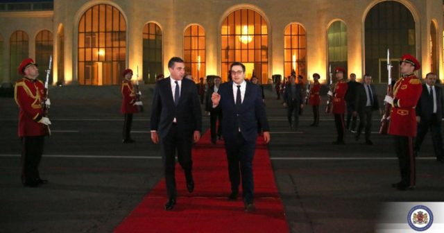 Визит министра иностранных дел Чехии в Грузию