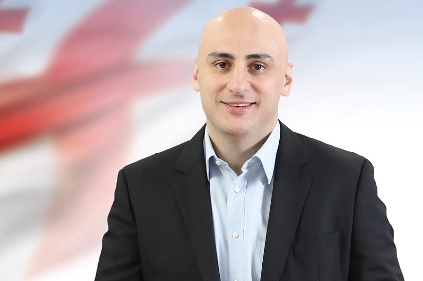 Экс-председатель "Единого национального движения" Ника Мелия создает новую партию