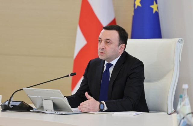 Незаконное присвоение государственных земель в Грузии – Гарибашвили объявил об амнистии