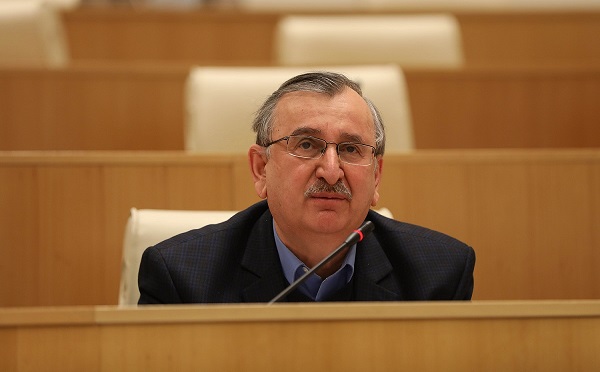 Роман Гоциридзе предлагает установить предел зарплат членов регулирующих комиссий