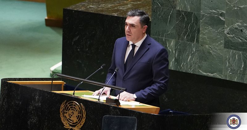 Министр иностранных дел Грузии: агрессивная война России против Украины стала посягательством на международный порядок