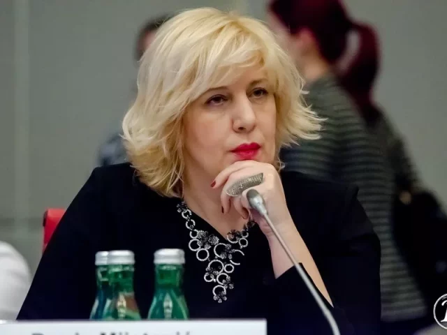 Комиссар СЕ по правам человека призвала парламент Грузии не принимать закон об иноагентах