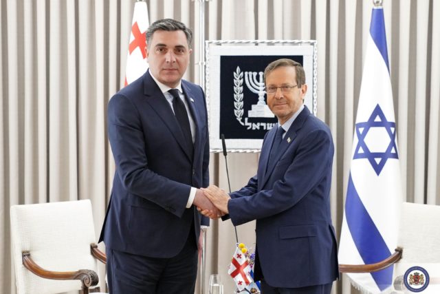 Илья Дарчиашвили встретился с президентом Израиля Ицхаком Герцогом