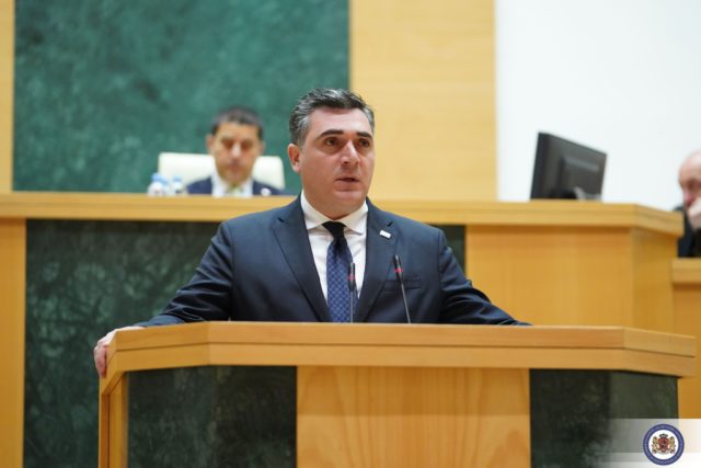 Илья Дарчиашвили выступил в парламенте Грузии в формате «министерского часа»