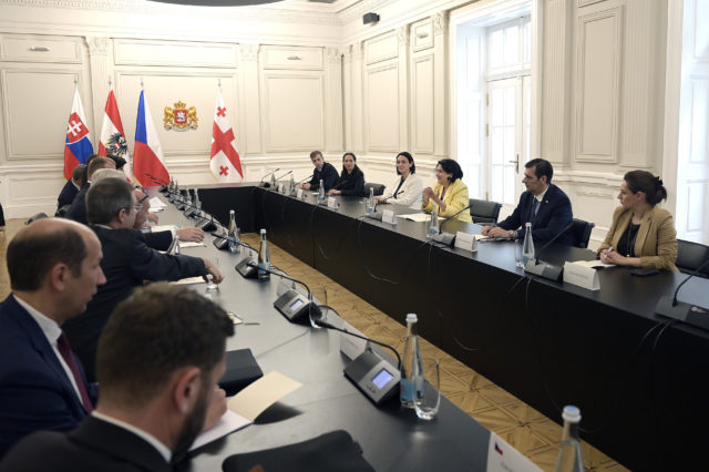 Саломе Зурабишвили приняла спикеров «Славковской тройки»