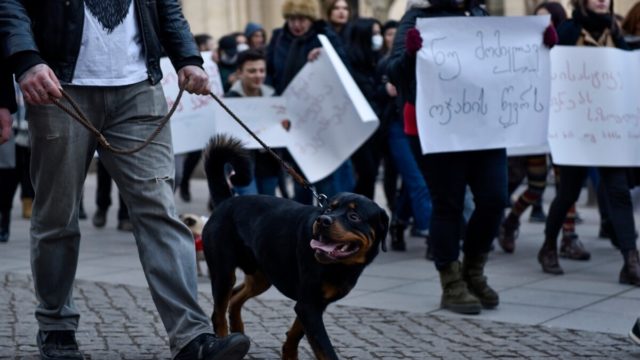 В Тбилиси прошла акция "Защити своего питомца"