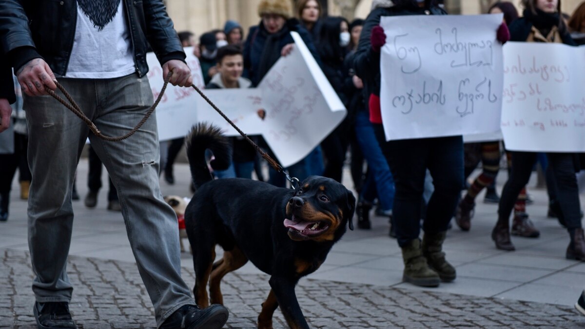 В Тбилиси прошла акция "Защити своего питомца"