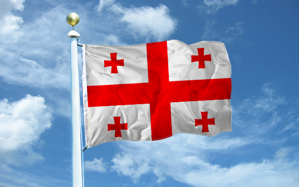 Граждане каких стран просили убежище в Грузии в январе-июне 2023 года