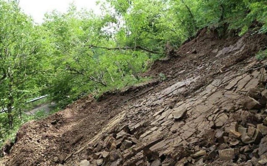 В Шови найдены тела еще четырех погибших