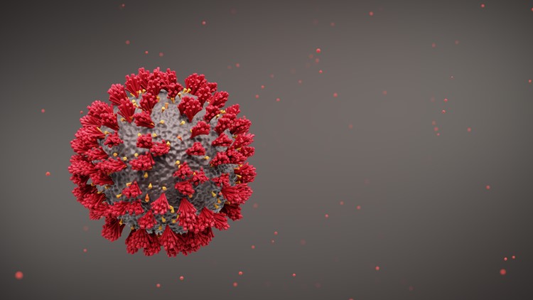 В мире зафиксировано быстрое распространение нового штамма коронавируса EG.5