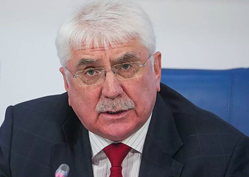 Депутат Госдумы : Россия готова ответить на протесты в Грузии