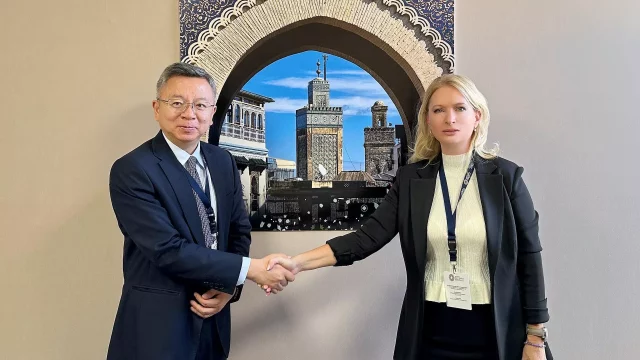 Национальный банк Грузии работает над восстановлением программы МВФ