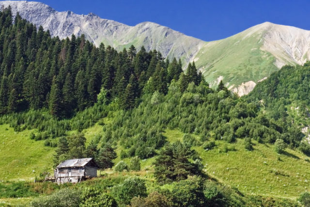 В Тбилиси экоактивисты провели акцию протеста, задержаны 13 человек
