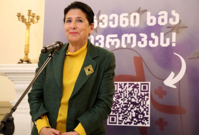 Президент Грузии выступила за предоставление эмигрантам права участия в выборах