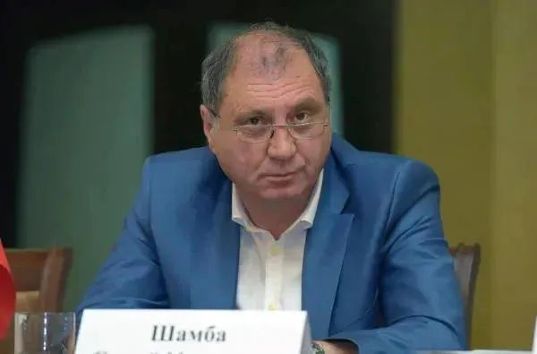 Для Грузии очень важен диалог с абхазскими согражданами - Шалва Папуашвили