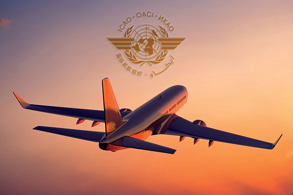 Грузия подписала с Исландией и Сейшелами соглашение об авиасообщении