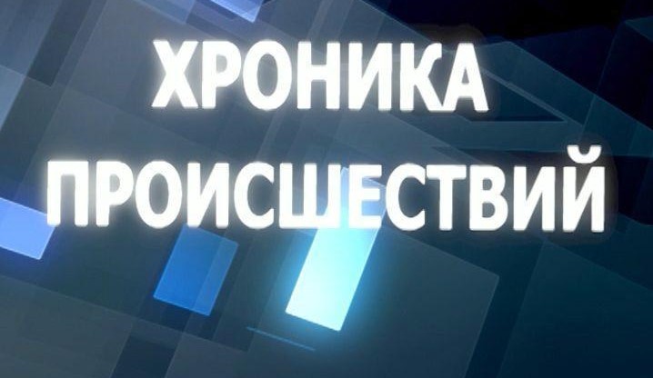 Операция «Пушкин» Из библиотек по всей Европе украдены десятки ценных книг, раритетные старинные издания русских писателей. По данным французских СМИ, за серией краж стоит банда грузинских воров, выдающих себя за любителей литературы. Следователи Центрального управления по борьбе с незаконным оборотом культурных ценностей (OCBC) во Франции несколько месяцев следили за «любопытным поведением нескольких граждан Грузии». В конце ноября 2023 года троим подозреваемым были предъявлены обвинения в «организованной групповой краже» и «преступном сговоре», пишет Actualitte. Еще двое 24-летних грузин, выдающих себя за студентов-филологов, сейчас разыскиваются, но пока безуспешно. Это история с тщательным планированием краж, переодеваниями и перевоплощениями, а воры носят костюмы и очки, выглядя как ученые. Во Франции одна из первых известных краж, совершенная преступной сетью, произошла в июле 2023 года в Высшей школе в Лионе. Молодой человек двадцати с небольшим лет предъявил бельгийское удостоверение личности, на самом деле поддельное, чтобы ознакомиться с десятью редкими старинными изданиями Александра Пушкина. Библиотекаря, ответственного за наблюдение за залом, отвлек сообщник «любителя литературы», что позволило вынести издания. Только одно из украденных изданий, «Борис Годунов» 1825 года, по данным Le Parisien, будет стоить у коллекционеров более 70 000 евро. В начале октября 2023 года Университетская библиотека языков и цивилизаций была ограблена ночью. За день до этого некий мужчина запрашивал здесь издания Пушкина. Восемь украденных здесь книг имели «низкую стоимость». Но после этого инцидента по всем библиотекам Франции было разослано предупреждение. Национальная библиотека Франции начала проверку, и ее сотрудники вспомнили, что с марта по октябрь 2023 года сюда приходил мужчина, который интересовался раритетными изданиями, он утверждал, что пишет диссертацию «Демократия в русской литературе». Читатель, увлекающийся русскими рукописями и старыми изданиями, Валериан Р., 57-летний гражданин Грузии, запрашивал издания, фотографировал на мобильный телефон и измерял с помощью рулетки. Книги проверили и обнаружили подлог: девять редких и ценных рукописей Пушкина и Лермонтова были украдены и заменены убедительными копиями. Здесь стоимость добычи оценивается в 650 000 евро. По данным следствия, сообщник Валериана Р. — некий Михаил З. вынес ценные издания и подменил их копиями. Книги он прятал в перевязи якобы больной руки. Именно Михаила З. также обвиняют в краже книг в других странах Европы. В начале ноября он был арестован в аэропорту Брюсселя на основании европейского ордера, выданного литовской системой правосудия. Михаила З. подозревают в участии в хищениях 17 раритетных изданий в Вильнюсе, а также в краже в библиотеке Варшавского университета. Здесь речь идет почти о 80 изданиях. Через несколько дней в Париже арестовали Валериана Р. он отрицал свою причастность к преступной организации, заявляя следователям, что был «любопытным антикваром», и делал копии для для грузинского рынка. Адвокат уверяет Le Parisien, что его клиент не виновен, по крайней мере, в крупномасштабных деяниях: По данным Journal du Dimanche, в Париже в ноябре прошлого года также по этому делу были задержаны мужчина и две женщины, 24, 26 и 44 лет. Тем временем речь идет о кражах и попытках краж с похожим почерком в Латвии, Эстонии, Литве, Германии, Финляндии, Швейцарии. La Tribune de Genève после Нового года вышла со статьей «В Женеве орудуют воры редких книг». Подзаголовок: «Грузинская банда крадет оригинальные произведения русских авторов в библиотеках по всей Европе. Женева – одна из жертв». Речь идет о краже шести изданий Пушкина из Женевской библиотеки. Единый почерк, тщательная проработка операций по совершению краж позволяют предположить, что за всеми «акциями» стоит один организатор и, может быть, один заказчик. Первый мотив краж, который предположили следователи, финансовый: перепродажа изданий может принести огромные деньги. Второй мотив, который обсуждается с политическим оттенком: основная цель — возвращение литературных реликвий в Россию. «Можно предположить масштабный проект, направленный на возвращение в Россию драгоценного культурного наследия», — считают следователи, с которыми консультировалась Le Parisien. Не исключена возможность, что за этой масштабной акцией по Европе стоят высшие лица в Кремле, но официально это версия не подтверждена. Грузинский телеканал «Пирвели» на этой неделе сообщил, что у задержанных по делу мужчины и женщины обнаружены удостоверения Союза писателей Грузии. В Союзе заявили, что им ничего неизвестно, и официально никто к ним из следственных органов не обращался. Этот же телеканал сообщил, что недавно издания Пушкина и русских футуристов неизвестные пытались выкрасть из библиотеки в Грузии, при доме-музее Иосеба Гришашвили. «Мшвилдадзе против Грузии» иск по делу о нападении на основателя TV «Формула» подан в Страсбургский суд Правозащитная организация «Грузинская демократическая инициатива» (GDI) обратилась в Европейский суд по правам человека по делу об избиении одного из основателей оппозиционного канала Formula TV Миши Мшвилдадзе. Речь идет об инциденте летом прошлого года на проспекте Важа Пшавела, возле торгового центра Carrefour. Виновным был признан некий Николоз Гугешашвили, он сам объявил в соцсетях, что напал на журналиста в защиту традиционных ценностей, как «мужчина и отец четырех детей». Гугешашвили был приговорен к шести месяцам лишения свободы. Телеканал безуспешно добивался переквалификации дела на статью о групповом нападении, утверждая, что за случившимся стоит Служба Госбезопасности, называя конкретные имена и показывая кадры преследования. GDI отмечает, что действия, совершенные против основателя Formula TV, не были эффективно расследованы, а истинные виновные не понесли наказания. Квалификация преступления, по оценке организации, была неверной: вместо бесчеловечного обращения, совершенного группой лиц по дискриминационным мотивам, оно было квалифицировано по статье 126 Уголовного кодекса (насилие). Жалоба в Страсбургский суд касается нарушения статьи 3 (запрещение пыток, материальная и процессуальная часть) Европейской конвенции по правам человека в сочетании со статьей 14 (запрещение дискриминации) и статьей 10 (свобода выражения мнений). В США впервые проведут казнь с помощью азота Фото: Кеннет Юджин Смит Подопытным станет 58-летний Кеннет Юджин Смит, который осужден за заказное убийство жены проповедника Элизабет Сеннетт в штате Алабама. Мужчина совершил жестокое преступление в 1988 году. Впоследствии суд присяжных признал его виновным в содеянном и десятью голосами против одного приговорил к пожизненному заключению. Однако судья не согласился с рекомендациями присяжных и заменил это решение на смертную казнь. По информации прессы, Кеннет Юджин Смит и его подельник попросту зарезали женщину, за что от ее мужа получили по тысяче долларов США. Священнослужитель после кончины своей супруги намеревался воспользоваться страховыми выплатами, чтобы покрыть накопившиеся долги. Когда полиция вышла на след пастора, он покончил с собой. Адвокаты Кеннета Юджина Смита утверждают, что казнь через удушение газообразным азотом является негуманной. Они напирают на то, что "жестокие и необычные" виды казни запрещены законом, и собираются добиваться отмены "опытов" над своим подзащитным. Кроме того, юристы подчеркивают, что Смит с маской на органах дыхания не сможет произнести последнее слово или помолиться вслух во время казни. В конечном итоге рассмотрение дела может дойти до Верховного суда Соединенных Штатов. Вместе с тем генпрокуратура США уверяет, что все высказанные адвокатами Смита опасения носят спекулятивный характер. В свою очередь в тюрьме штата Алабамы обещают разрешить Смиту пообщаться со священником до того, как на лице заключенного окажется маска. Кеннета Юджина Смита уже хотели казнить в 2022 году. Тогда ему назначили смертельную инъекцию. Однако организаторы были вынуждены отказаться от своих планов, так как после четырех часов безуспешных усилий, так и не смогли обнаружить на теле заключенного подходящие для укола вены. Кстати, сообщник Смита по имени Джон Форрест Паркер был казнен в 2010 году. Казнь с помощью чистого азота разрешена в трех американских штатах - Алабаме, Оклахоме и Миссисипи. Однако ни в одном из этих регионов она не применялась. При таком виде казни на приговоренного к смерти надевают маску, через которую он дышит азотом. Человек через несколько секунд теряет сознание, а через пару минут после этого умирает от недостатка кислорода. В ООН осудили планы провести в США казнь человека через удушение азотом. Этот метод в Организации назвали "жестоким, бесчеловечным и унижающим достоинство". Кроме того, тревогу бьют правозащитники. По их мнению, казнь с помощью азота может быть болезненной и принести страдания заключенному. Это может произойти в случае смещения маски или рвотного рефлекса человека. Эксперты отмечают, что нельзя достоверно говорить о быстрой смерти от удушения азотом. Дело в том, что такой метод казни человека недостаточно изучен. Колонка Граждан Грузии задержали по обвинению в убийстве членов греческой мафии Двое из пятерых обвиняемых в убийстве членов греческой мафии – граждане Грузии, они были задержаны, сообщает телеканал "Рустави 2" со ссылкой на местные СМИ. Что касается остальных обвиняемых, то еще двое из них находятся за границей и разыскиваются полицией, а один отбывает наказание за тяжкое преступление. По данным правоохранительных органов, обвиняемые стояли за убийствами Янниса Скафтуроса, Василия Рубетиса и Диониса Музакитиса. Яннис Скафтурос был убит в апреле 2022 года, а двое других человек – в июне 2023 года. Жителя Кахетии обвиняют в изнасиловании 12-летней племянницы Жителя Кахетии уличили в изнасиловании 12-летней племянницы его покойной супруги. Инцидент произошел в одном из сел муниципалитета Сагареджо во время поминок. Родственники утверждают, что ночью мужчина пробрался в комнату, где спала девочка, запер дверь изнутри и изнасиловал ее. О произошедшем узнал брат предполагаемой жертвы, а позже и другие члены семьи. В полицию о факте сразу не заявили, брат покойной решил разобраться с шурином сам и напал на него с ножом. «Когда мой второй сын узнал об изнасиловании, он не выдержал – пошел и порезал его. Он сдался полиции», — рассказал журналистам дедушка предполагаемой жертвы. Мужчина, получивший ножевые ранения, пока что проходит лечение в больнице Сагареджо. Напавший на него шурин задержан. Под наблюдением врачей в медучреждении остается и 12-летняя девочка. Следствие в связи с произошедшим начато по двум статьям УК Грузии, которые предполагают «умышленное причинение тяжкого вреда здоровью» и «изнасилование». Обвиняемого в избиении жены сотрудника мэрии города на западе Грузии отпустили под залог Кутаисский районный суд принял решение избрать залог в размере 5 тысяч лари обвиняемому в семейном насилии сотруднику мэрии Ткибули (регион Имерети). По версии следствия, мужчина под воздействием алкоголя 15 января во время ссоры избил жену на глазах у детей. Он был задержан в день инцидента. На суде решающим стали показания супруги, которая попросила не отправлять мужа в тюрьму. Между тем сторона обвинения готовит апелляцию для изменения меры пресечения на заключение. В случае подтверждения вины обвиняемому грозит до трех лет лишения свободы. По данным СМИ, обвиняемый руководитель службы закупок мэрии Ткибули Джони Касрашвили. Лыжник погиб после столкновения на спуске в Бакуриани На курорте Бакуриани при столкновении с туристом-лыжником погиб успешный грузинский консалтер и сооснователь компании Kernel Георгий Тухашвили, сообщают СМИ. Молодой мужчина врезался в 15-летнего подростка, когда на большой скорости спускался с горы на лыжах. Когда на место прибыла бригада «скорой», Тухашвили был уже мертв. Что касается школьника, его госпитализировали с переломом ноги. Тухашвили отдыхал на горном курорте с матерью, супругой и четырьмя малолетними детьми. Последним местом его работы была компания Kernel, создавшая сервис выставления счетов и другие финансовые инструменты. Следствие в связи с произошедшим в Бакуриани начато по статье 116 УК Грузии, что подразумевает причинение смерти по неосторожности.