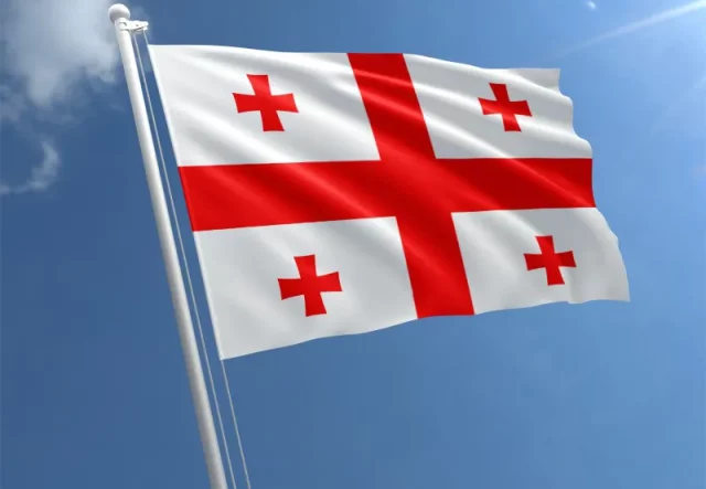 В Грузии началась всеобщая перепись населения