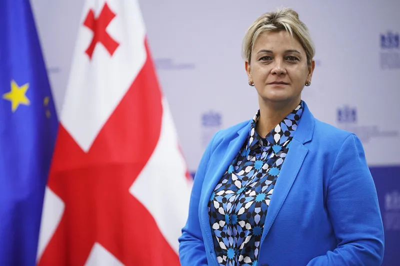 Приватизация государственного имущества принесла бюджету Грузии 279,5 миллиона лари