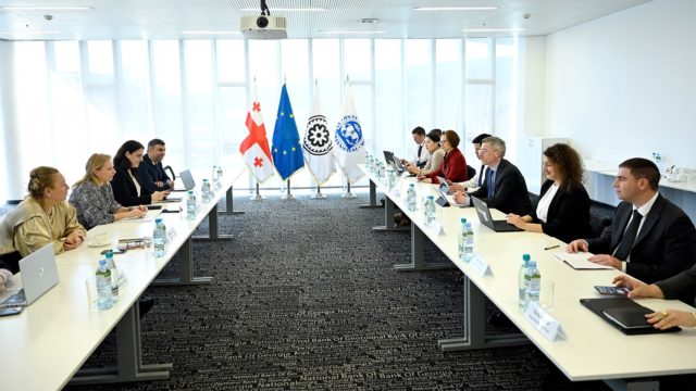 Визит Миссии Международного валютного фонда (МВФ) в Грузию