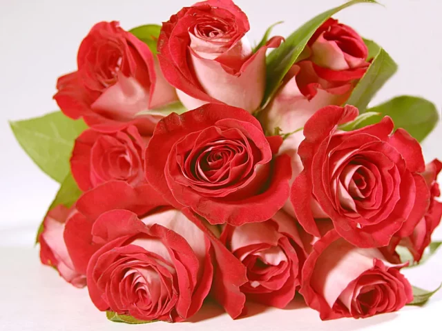 В Грузии 3 марта отмечается День матери