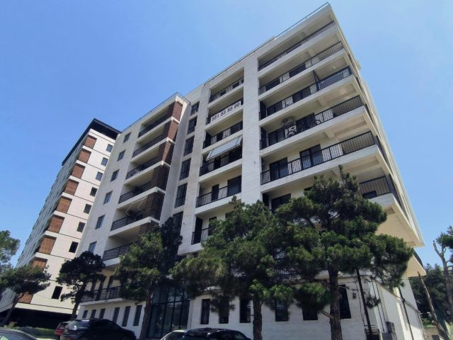 В декабре 2025 года продажи квартир в Тбилиси выросли на 11%