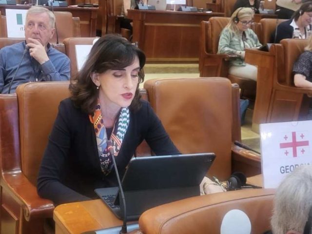 «Грузинская мечта»: новая резолюция ПАСЕ противоречит принципу территориальной целостности Грузии