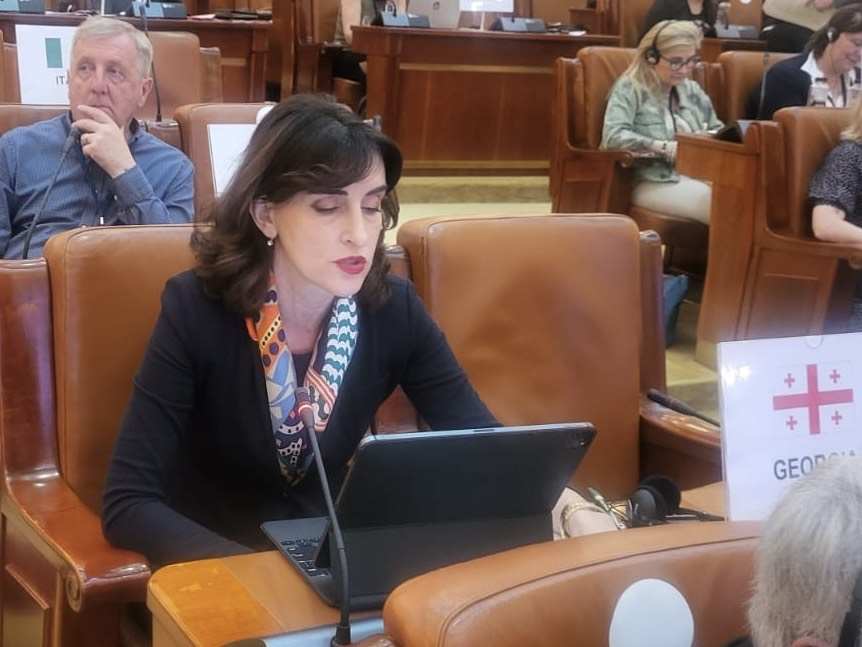 «Грузинская мечта»: новая резолюция ПАСЕ противоречит принципу территориальной целостности Грузии