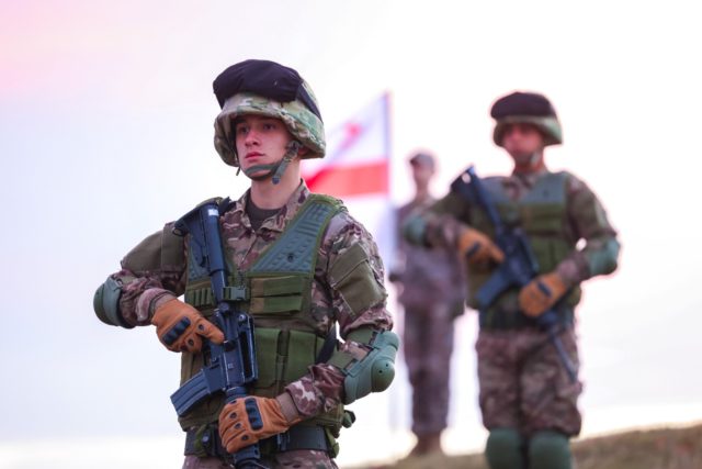 Парламент Грузии утвердил численность армии Грузии на 2025 год