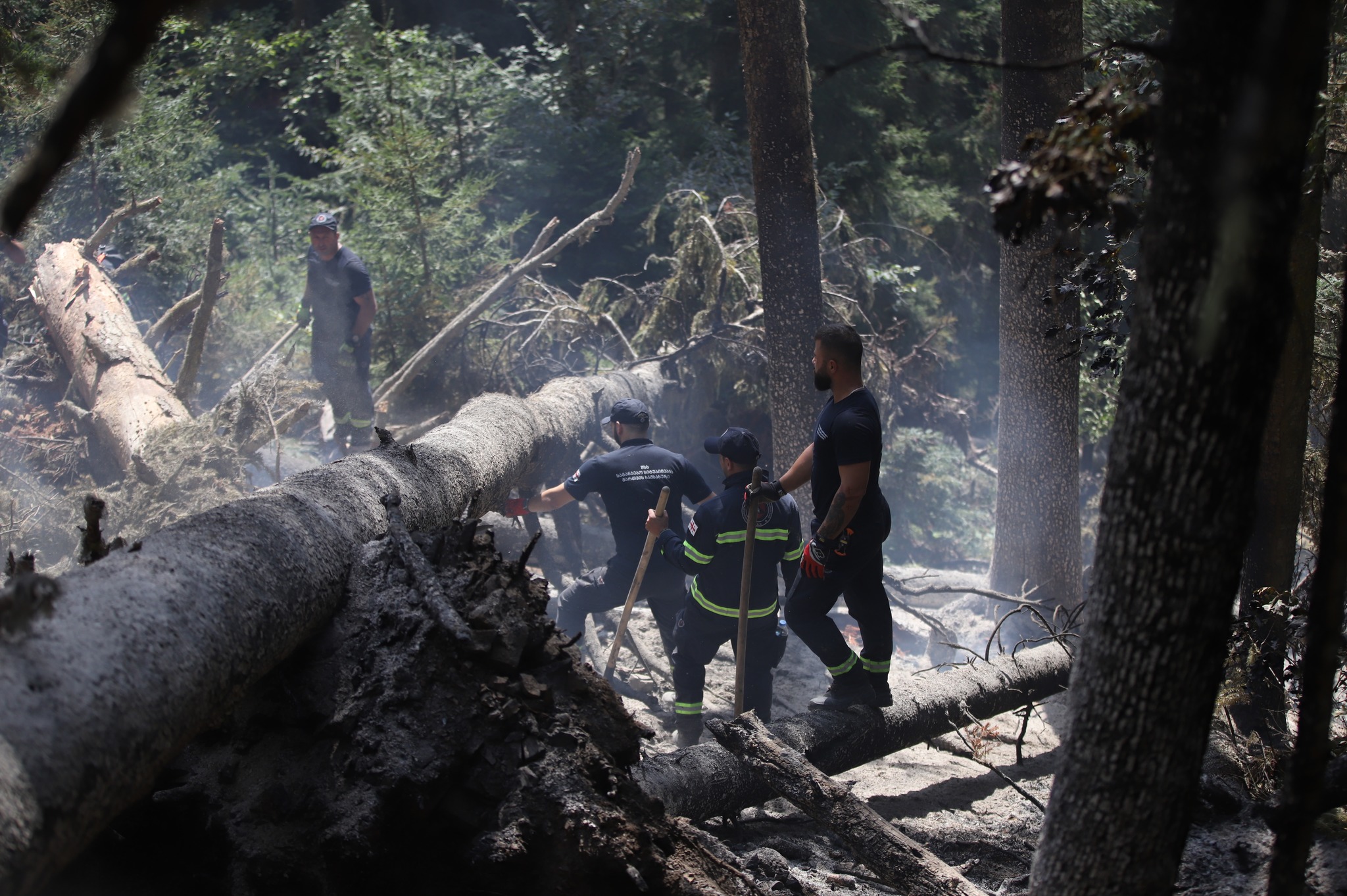 Лесной пожар в Боржомском ущелье потушен