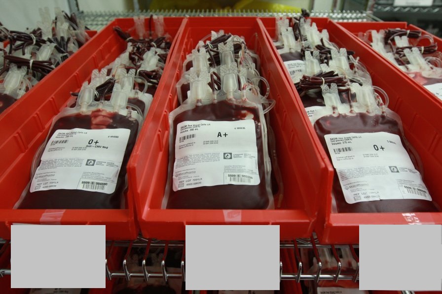 В Минобороны Грузии начнет функционировать банк крови