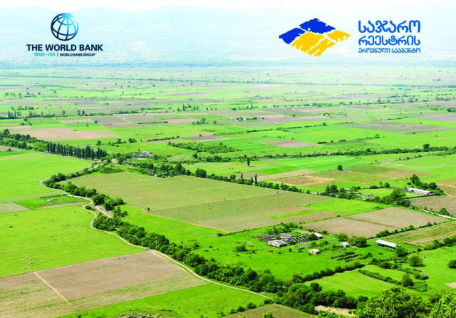 В Грузии системная регистрация земли продолжится до конца 2025 года